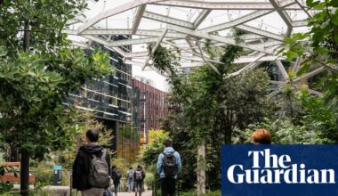 US companies accused of ‘AI washing’ in citing artificial intelligence for job losses | US news