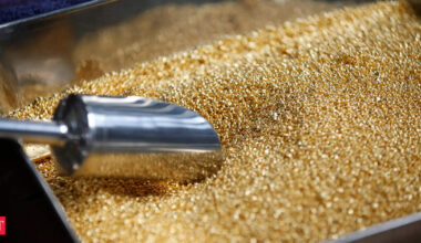 India grants duty concession to US on just 5 lakh tonnes of DDGS under trade pact