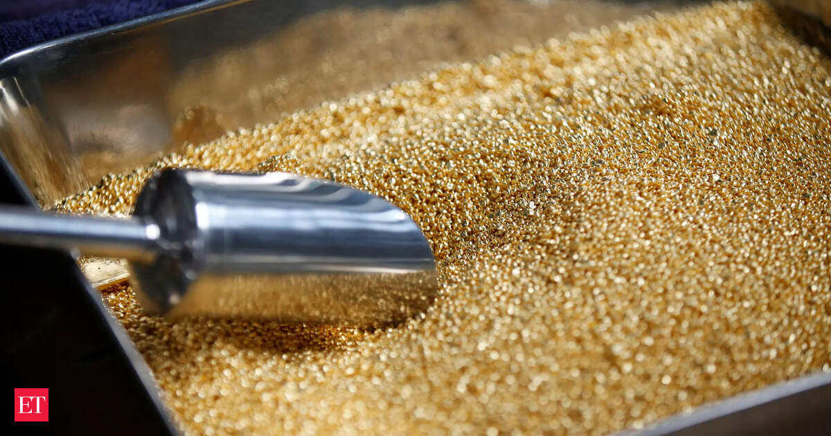 India grants duty concession to US on just 5 lakh tonnes of DDGS under trade pact