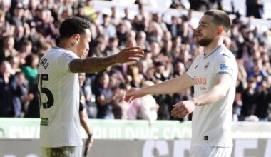 Zan Vipotnik (right) scored twice in Swansea's victory over Sheffield Wednesday