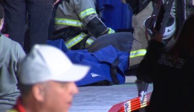 Crews rescue manatee trapped in storm drain beneath road in Brevard County