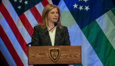 NYPD Commissioner Jessica Tish says the city may soon get authority needed to take down hostile drones