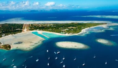 Fox News Lifestyle Newsletter: Feb. 3-10, 2026