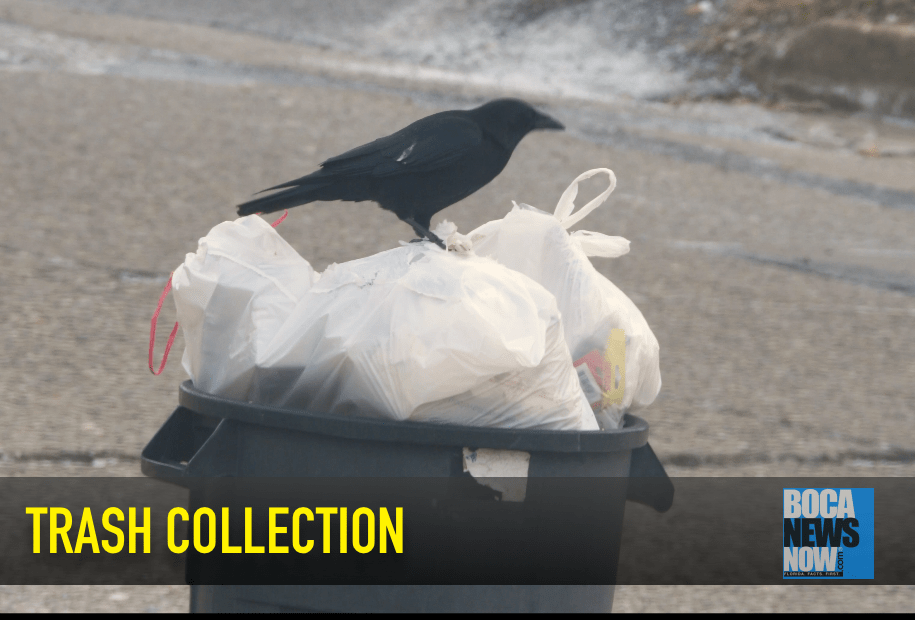 Trash Collection