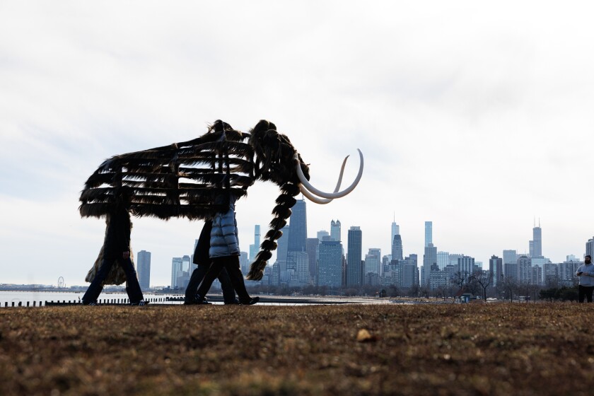 Dancers donning the mammoth costume walk past with the city skyline in the background for the video portion of “Nick Cave: Mammoth” a series by artist Nick Cave during a video shoot near the Theater by the Lake at North DuSable Lakeshore Drive and West Fullerton Parkway on the lakefront, Tuesday, Jan. 13, 2026. Nick Cave will be presenting work at the Smithsonian American Art Museum that will be immersive experience with crafted hides and bones of mammoths, a video projection of the mammoths come to life, found objects.