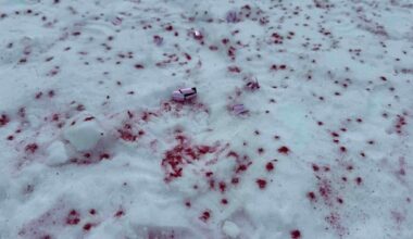 Parks Canada investigating after glitter, streamers left on frozen Lake Louise