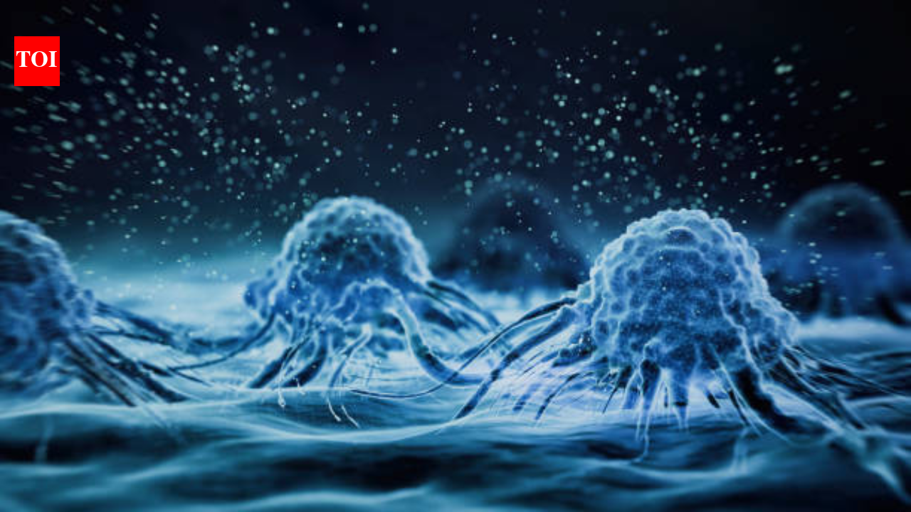 Cancer Risk: You may be increasing your cancer risk without knowing it: Doctor warns about micro-exposures and silent triggers |