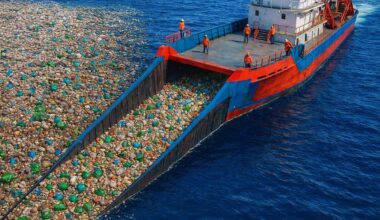 Giant ships are removing plastic from rivers using sorting and carbon solutions, in a real technological race to contain environmental collapse.
