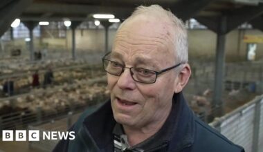 More Kent farmers seeking help for mental health - BBC
