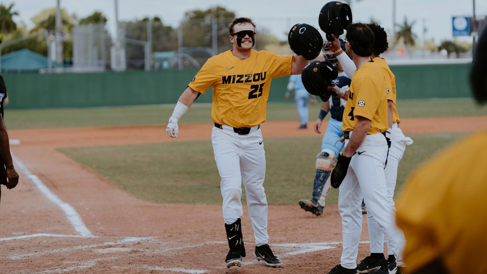 Florida Atlantic University Logo