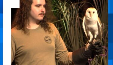 Southeastern Wildlife Exposition draws over 40K to Charleston