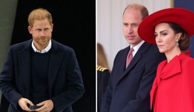 Princess of Wales and Prince William 'divided on Prince Harry's decision to leave Royal Family'
