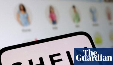 EU to investigate Shein over sale of childlike sex dolls and weapons | Shein