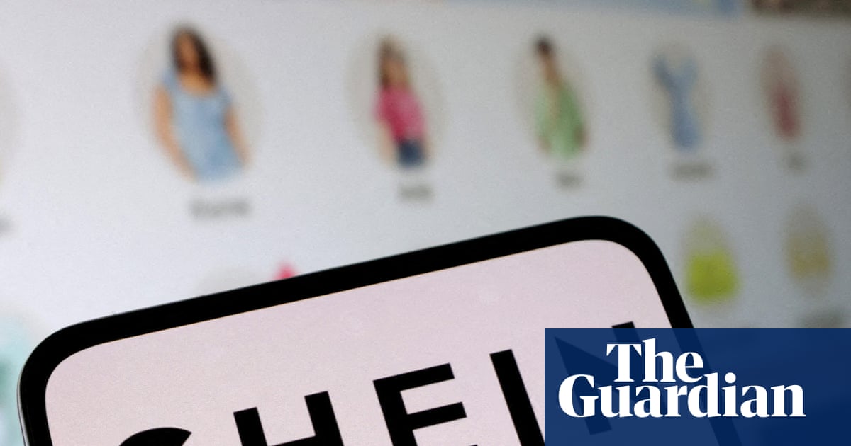 EU to investigate Shein over sale of childlike sex dolls and weapons | Shein