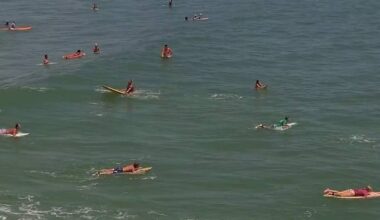 Florida led the nation in shark bites in 2025, new report shows. Here’s why researchers say it tops the list