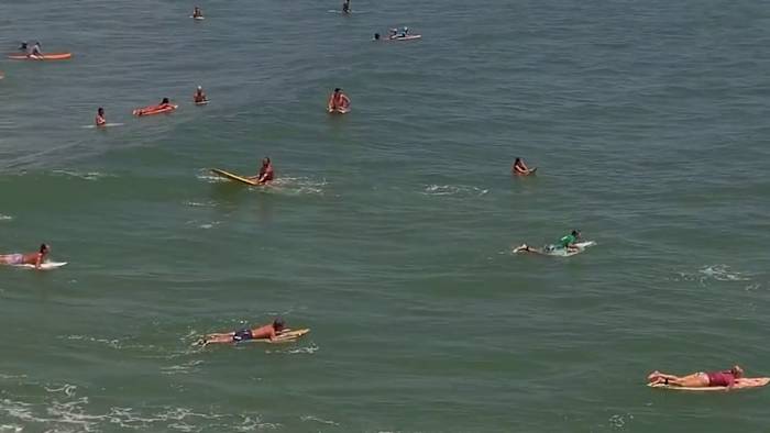 Florida led the nation in shark bites in 2025, new report shows. Here’s why researchers say it tops the list