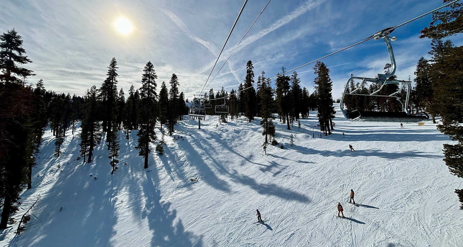 Bear Trio Spotted Running Across Tahoe Ski Hill