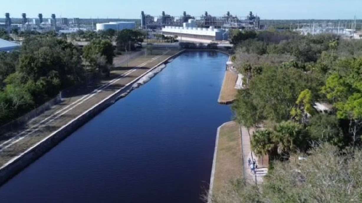 25 manatees reported dead in Florida waters since Friday