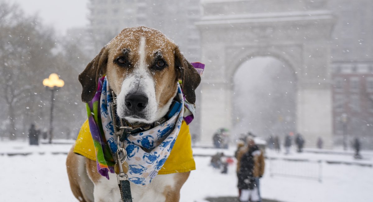 NYC, NJ forecasts now warn up to 10 inches of snow expected for Sunday storm