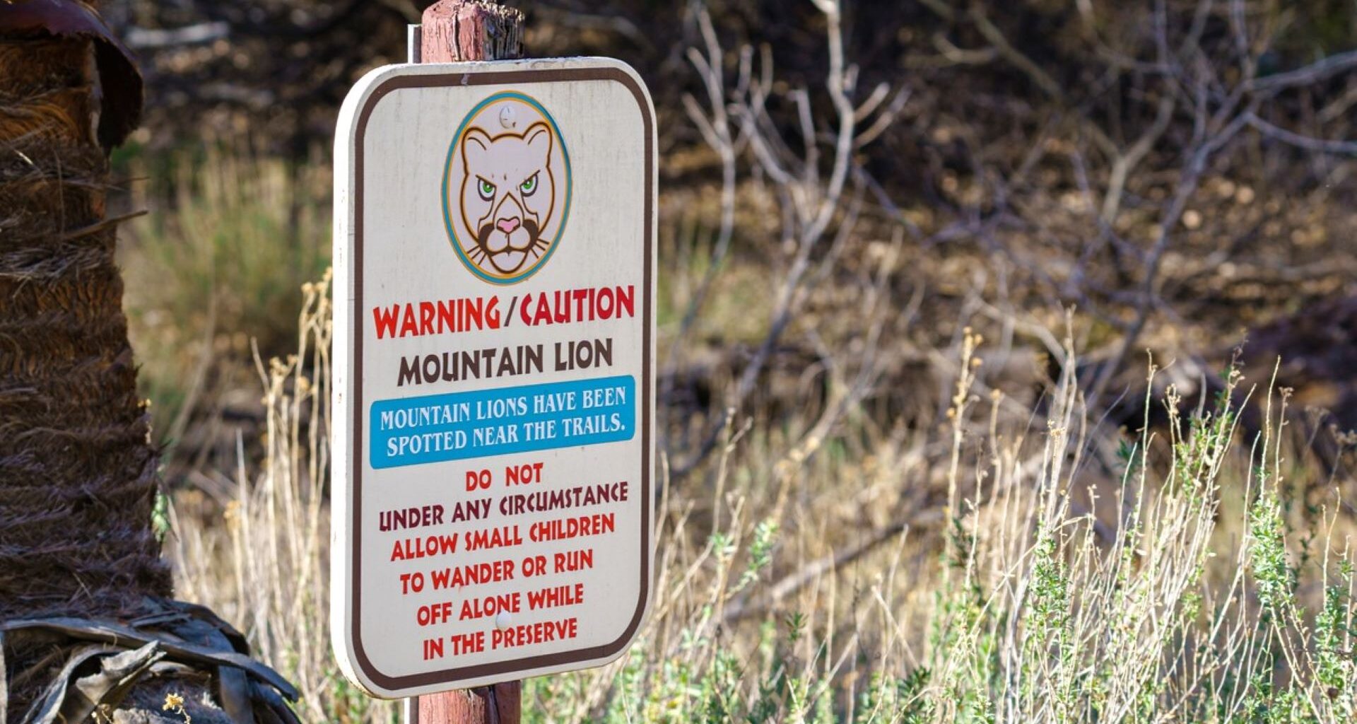 '[They] are facing an extinction vortex'