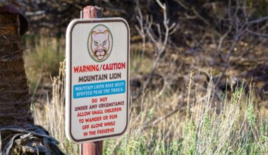 '[They] are facing an extinction vortex'