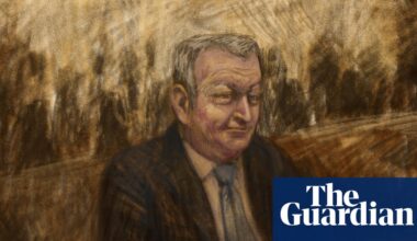 Accused killer Greg Lynn seeks bail to live with son as lawyers apply for permanent stay in case | Victoria