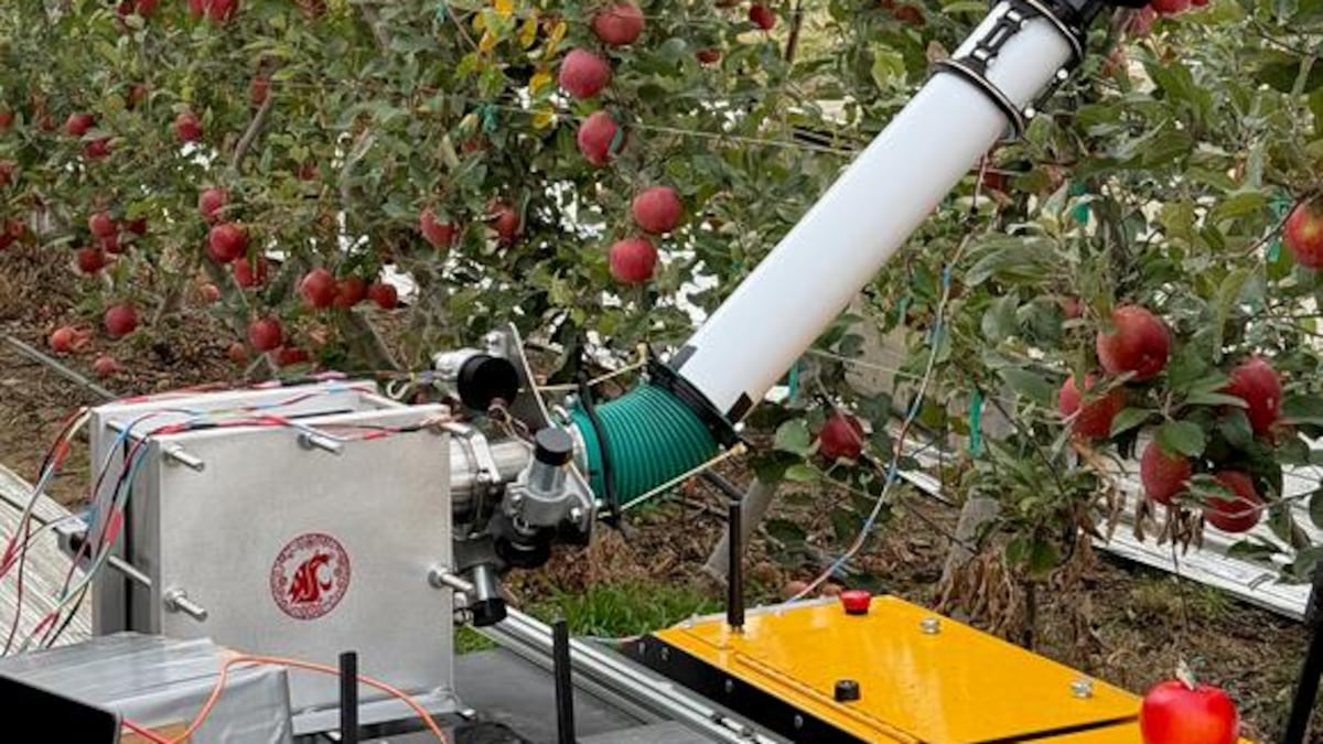 Inflating robot developed in Washington aims to pick apples as gently as humans