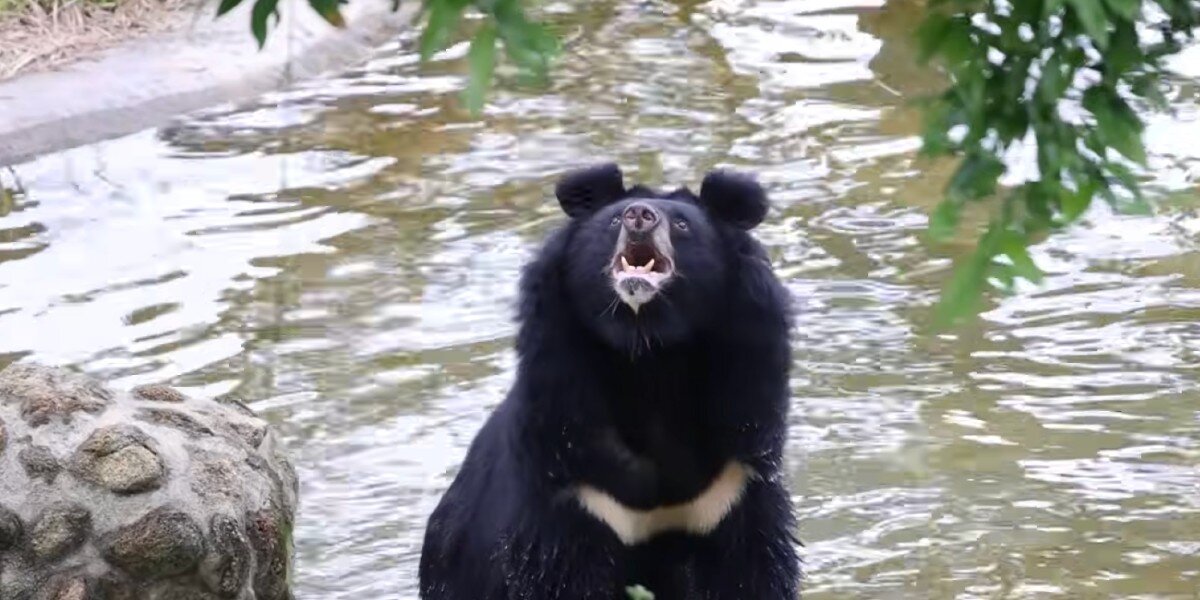 He Lived In A Tiny Cage For 27 Years — Now He's Seeing The Sky For The First Time