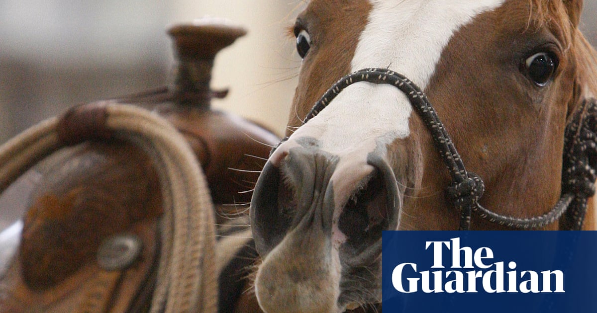 Study reveals whistling secret of horses’ whinny | Animals