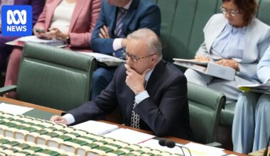Federal politics: Labor faces questions on economic management in QT — as it happened