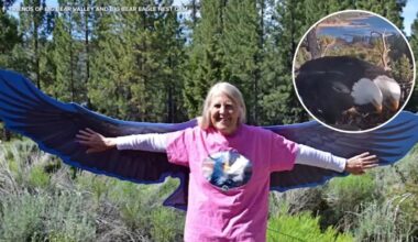 Sandy Steers, who helped bring Big Bear eagles Jackie and Shadow to the world, dies