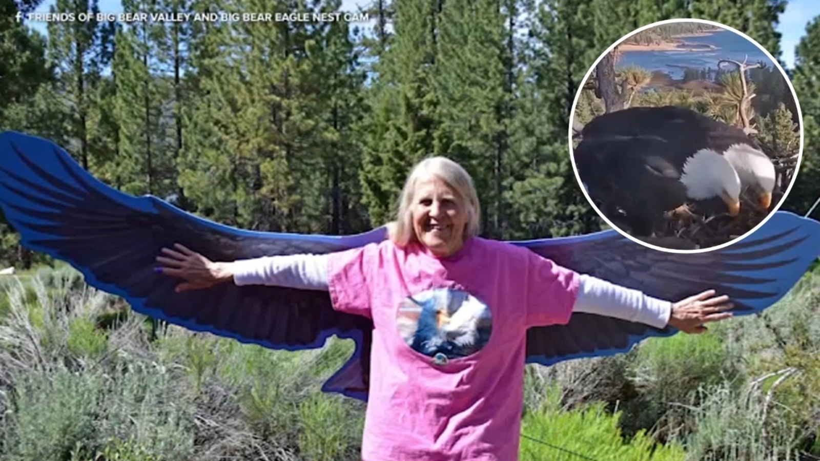Sandy Steers, who helped bring Big Bear eagles Jackie and Shadow to the world, dies