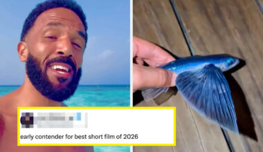 Yahoo entertainment home