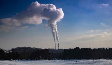 It's a true pollution harvester — It will absorb 1,000,000 tons each year from the heart of America