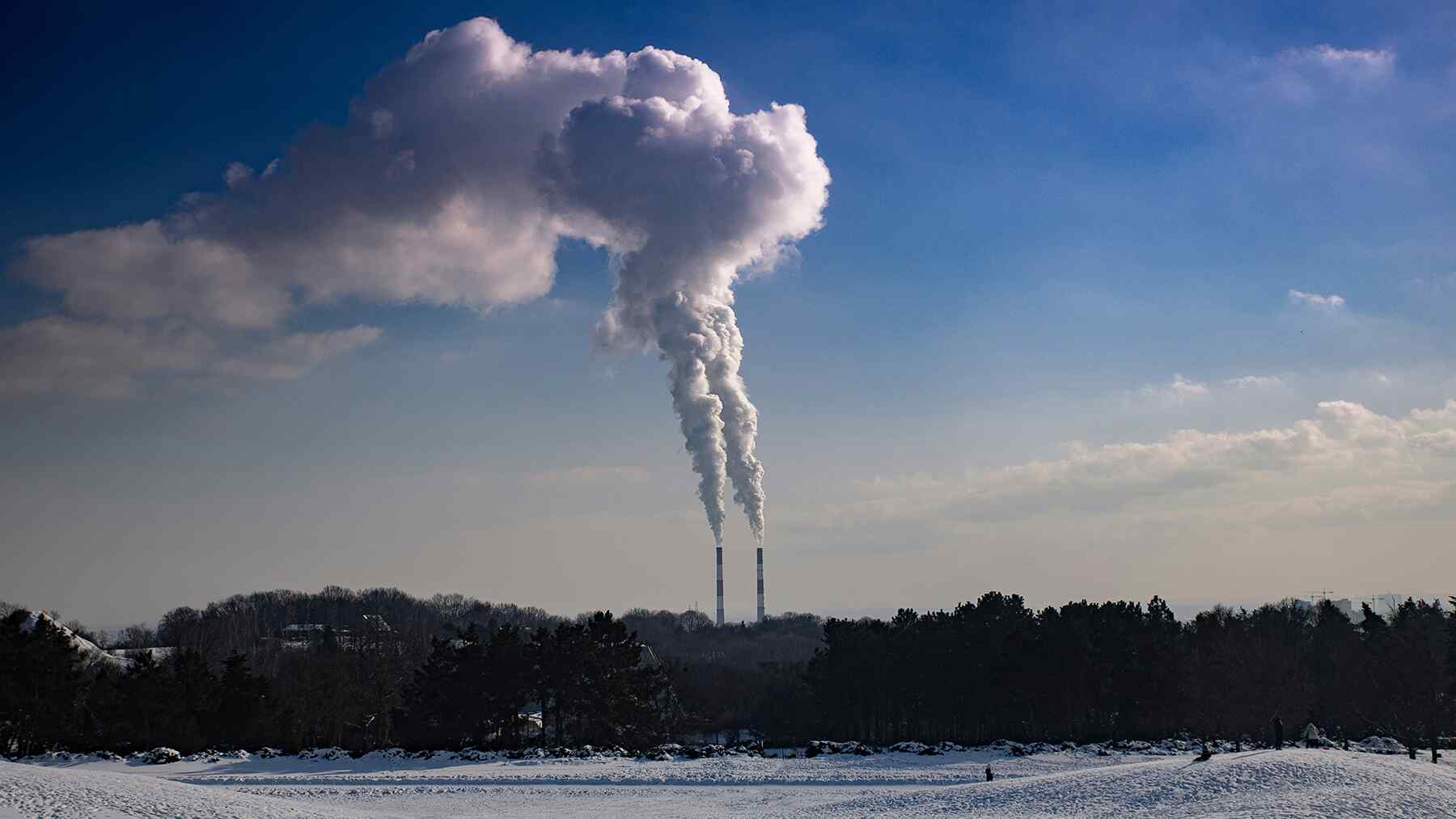 It's a true pollution harvester — It will absorb 1,000,000 tons each year from the heart of America