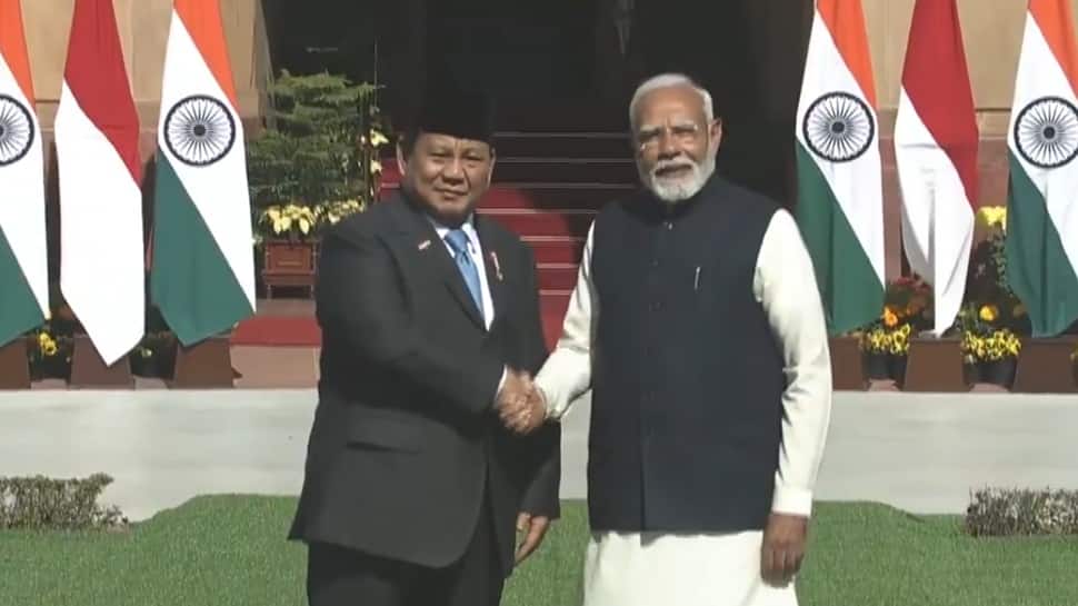 What India can learn from Indonesia's zero-borrowing welfare model - Experts explain | India News