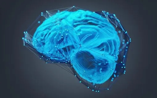 The brain with networks