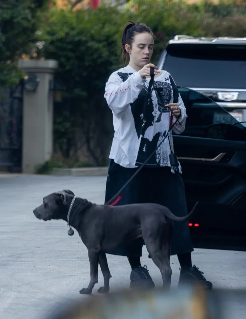 Billie Eilish is seen out for the first time since her Grammys appearance, stepping outside to walk her dog alongside her brother, Finneas O’Connell. 4CRNS, WCP / BACKGRID