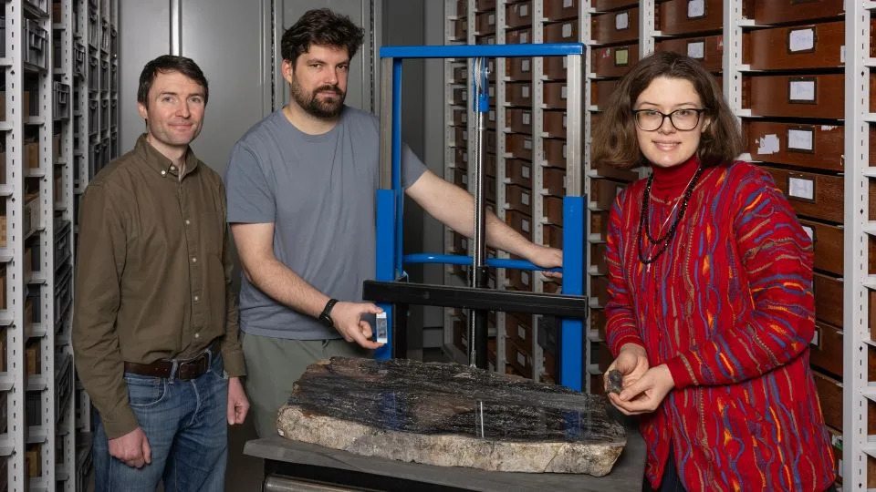 From right, researchers Sandy Hetherington, Corentin Loron and Laura Cooper, who led the new study, at the Museum of Scotland's National Museums Collection Centre with some Prototaxites fossils. - Neil Hanna