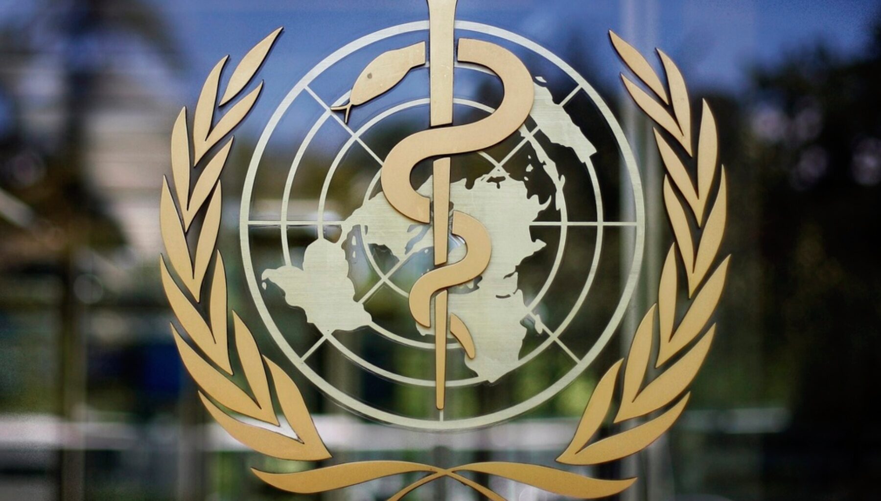 Colorado looks to join WHO Global Outbreak Network