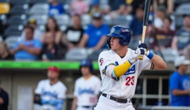 Minnesota Twins 2026 top 20 prospects: Walker Jenkins, Emmanuel Rodriguez lead the way