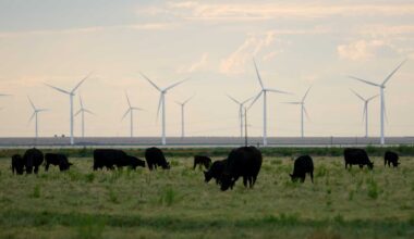 Despite Trump, renewable energy keeps surging » Yale Climate Connections