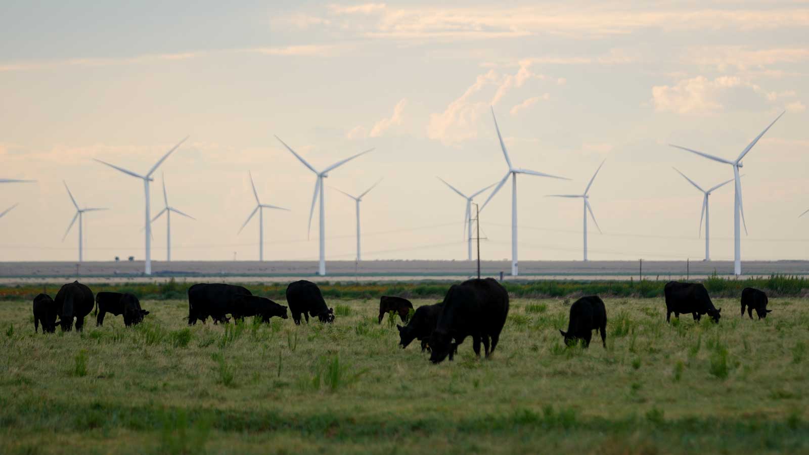 Despite Trump, renewable energy keeps surging » Yale Climate Connections