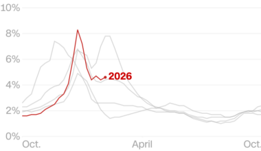 Tracking flu cases in the US through maps and charts