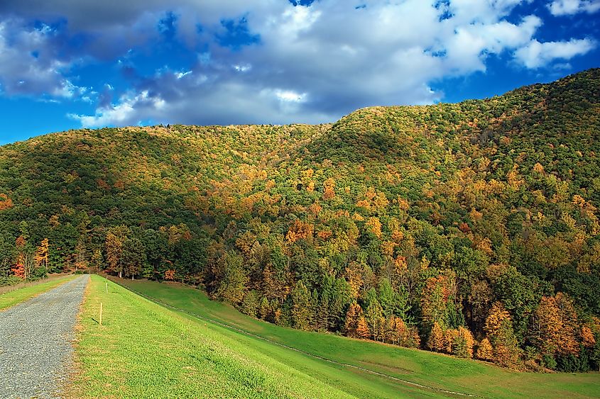 View from the George B. Stevenson Dam walkway, Sinnemahoning State Park, Cameron County.
