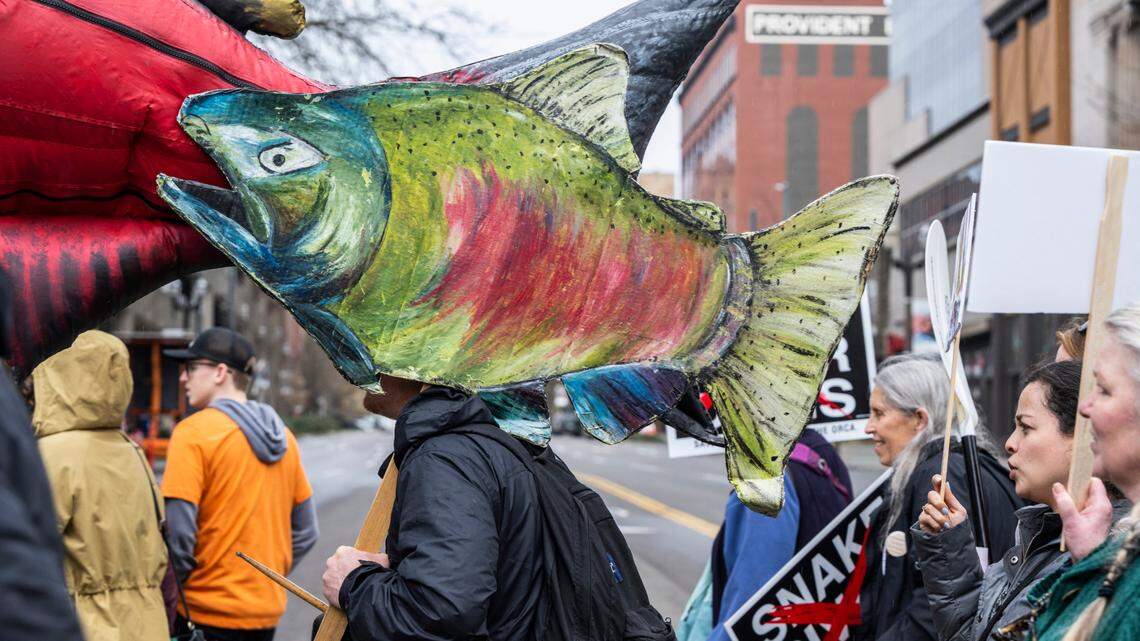 Court ruling boosts spill for salmon at Snake River dams