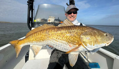 Yahoo lifestyle home