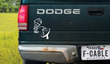 Everyone is stealing TV | The Verge