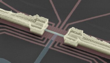 Read-out of Majorana qubits reveals their hidden nature – Physics World