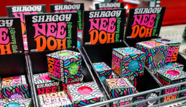 9-year-old Illinois boy severely burned after TikTok trend inspired him to microwave NeeDoh toy